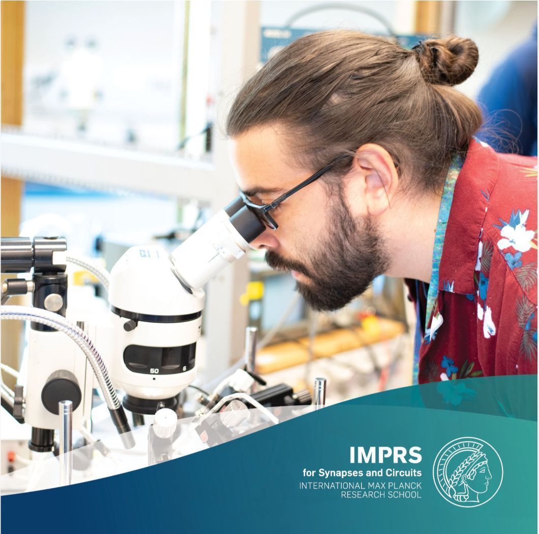 Max Planck Florida Institute for Neuroscience tweet media