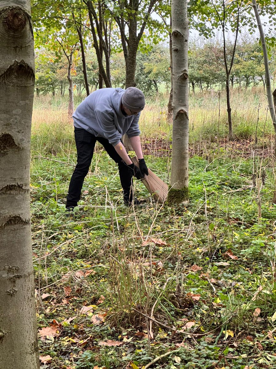 🌳 Happy National Tree Week! 🌳

This year, we’ve planted 150 trees, restored 50m of hedgerow, and recycled old plastic tree guards to protect the environment. 

Every tree we plant today means better care for our horses tomorrow. 🐴💚