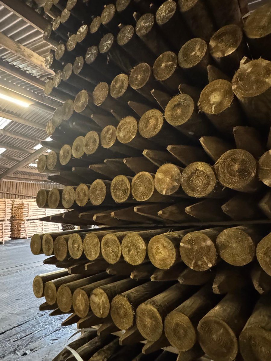 Bond Timber tweet media