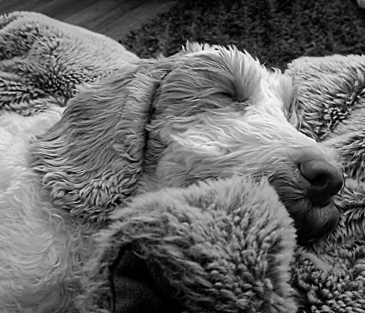 Nice and cosy...🐾🍂♥️