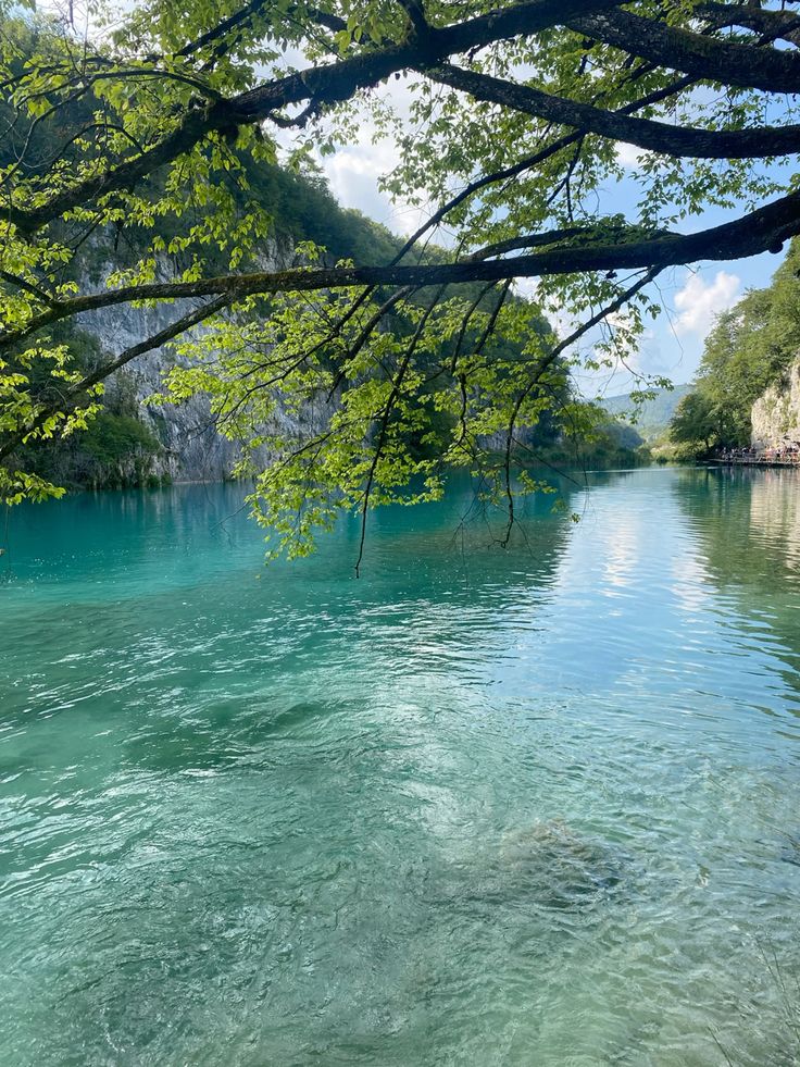 Wa-Bush (@bondzabby) on Twitter photo 