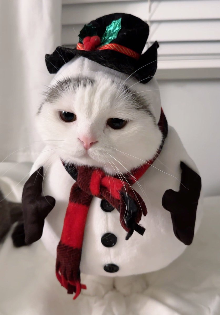 jiewliewnjiggo's tweet image. อย่าเพิ่งเหนื่อยจู๊ด แม่เพิ่งเริ่ม