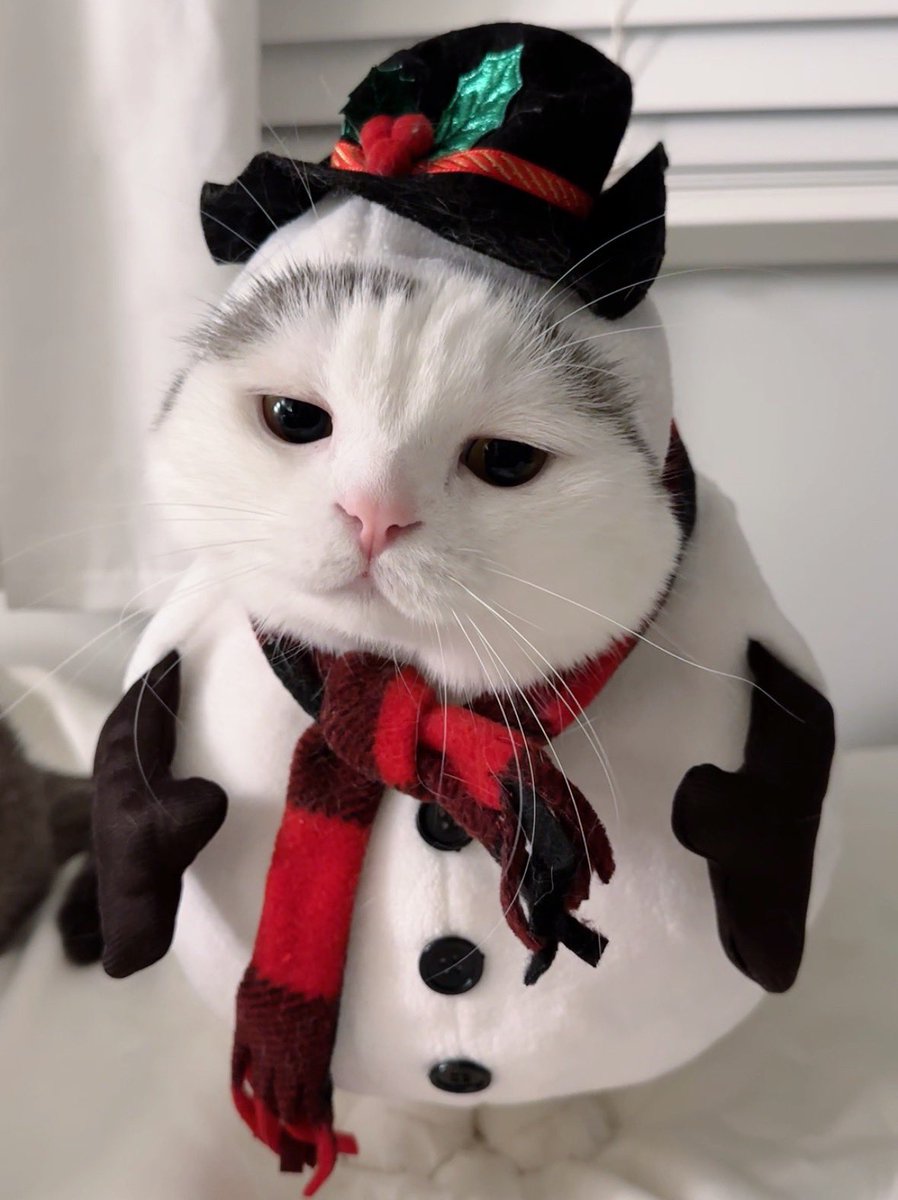 jiewliewnjiggo's tweet image. อย่าเพิ่งเหนื่อยจู๊ด แม่เพิ่งเริ่ม