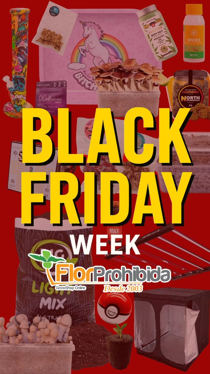 FlorProhibida tweet media