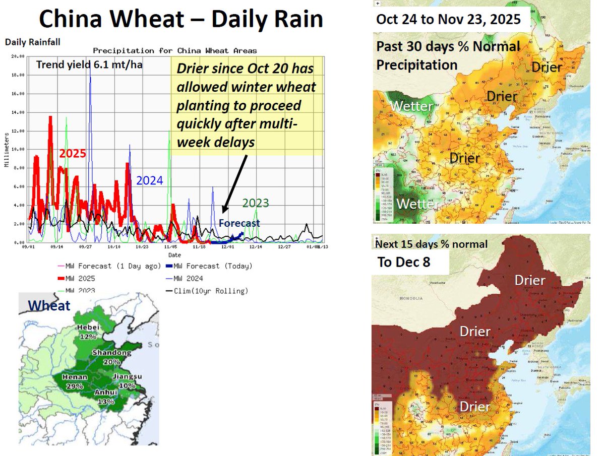 China - The late start to seeding and limited time before cooler temps shut the window for planting, could lead to yield loss of intended area. Milder temps are forecast next two weeks could extend the window for planting and fall growth. #wheat #China #commodity #weatherforecast