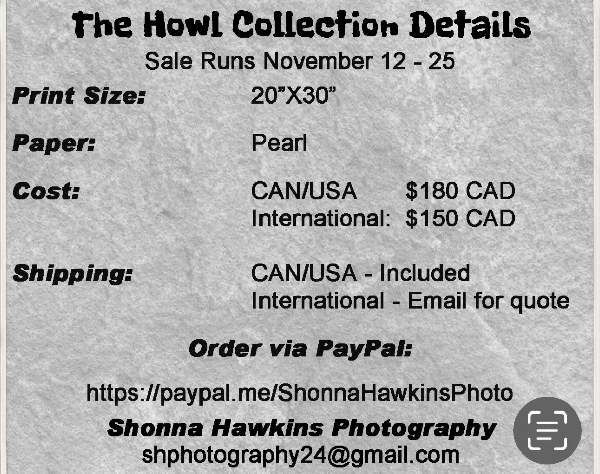 shonna99784's tweet photo. THE HOWL COLLECTION - DAY 13

13) 2 days left! Before the sale ends, remember the 'why.' We're highlighting @PacificWild, who are fighting the BC wolf cull. 10% of all sales go 2 their crucial conservation efforts. Find your print &amp; support the mission. #SaveTheWolves #BuyIntoArt https://t.co/AJqtsqMbWS