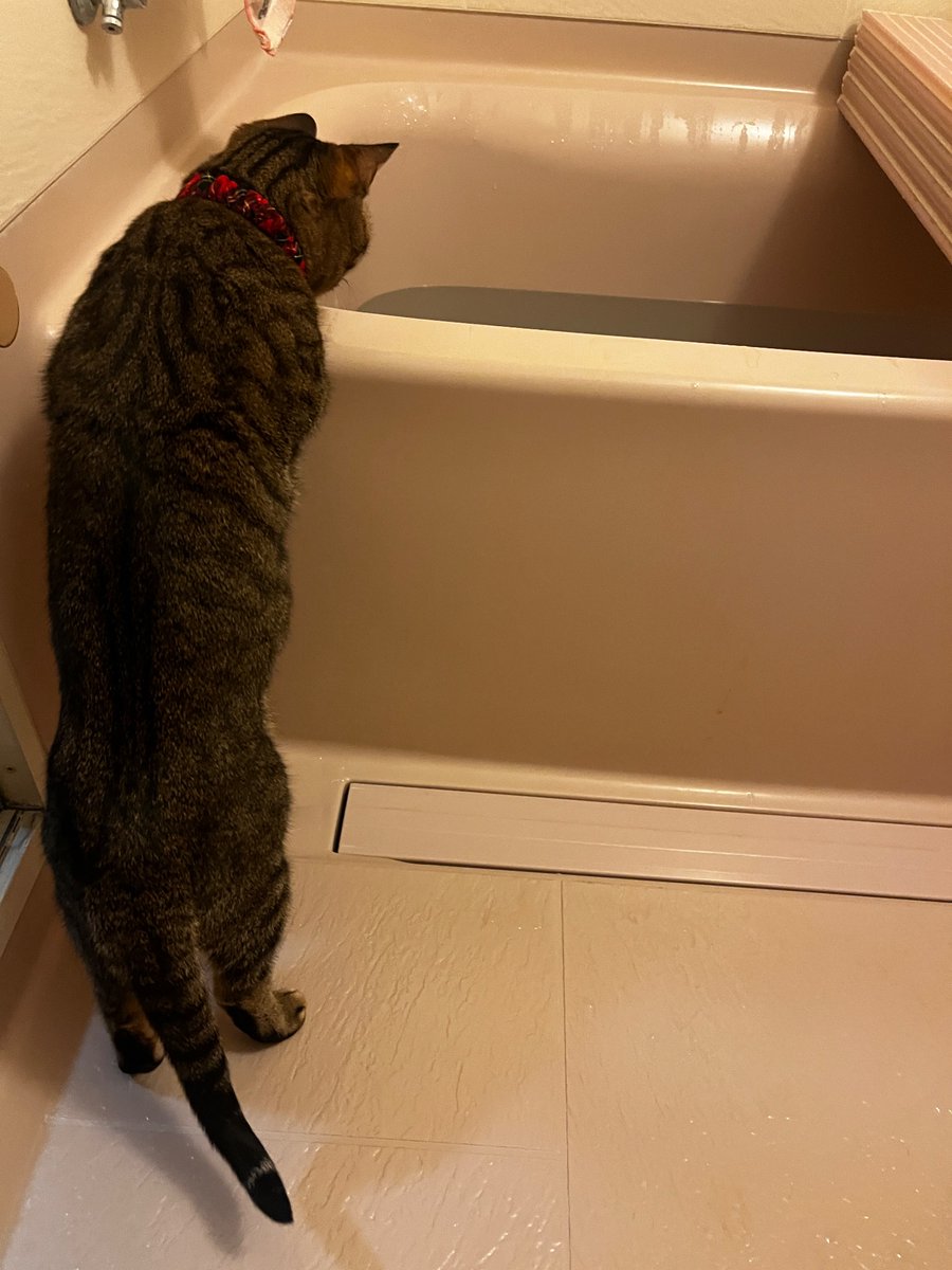 一時帰国してます。