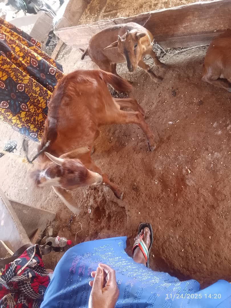 itzkennyjay's tweet image. 