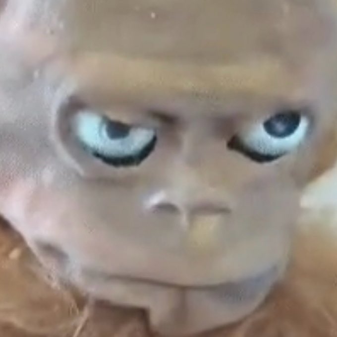 JIMMYEDGAR's tweet photo. you’re reading this

u are highly favored, divinely protected and eternally blessed https://t.co/KlCh74QUcx