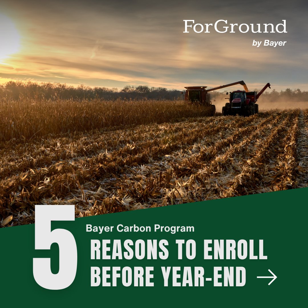 ForGround_Bayer's tweet image. Five reasons to enroll in the Bayer Carbon Program before year-end — including bonuses up to $3,000 and historical payments up to $48/acre.

Get the details 👉  bit.ly/47r7J3e
#ForGround #RegenerativeAg