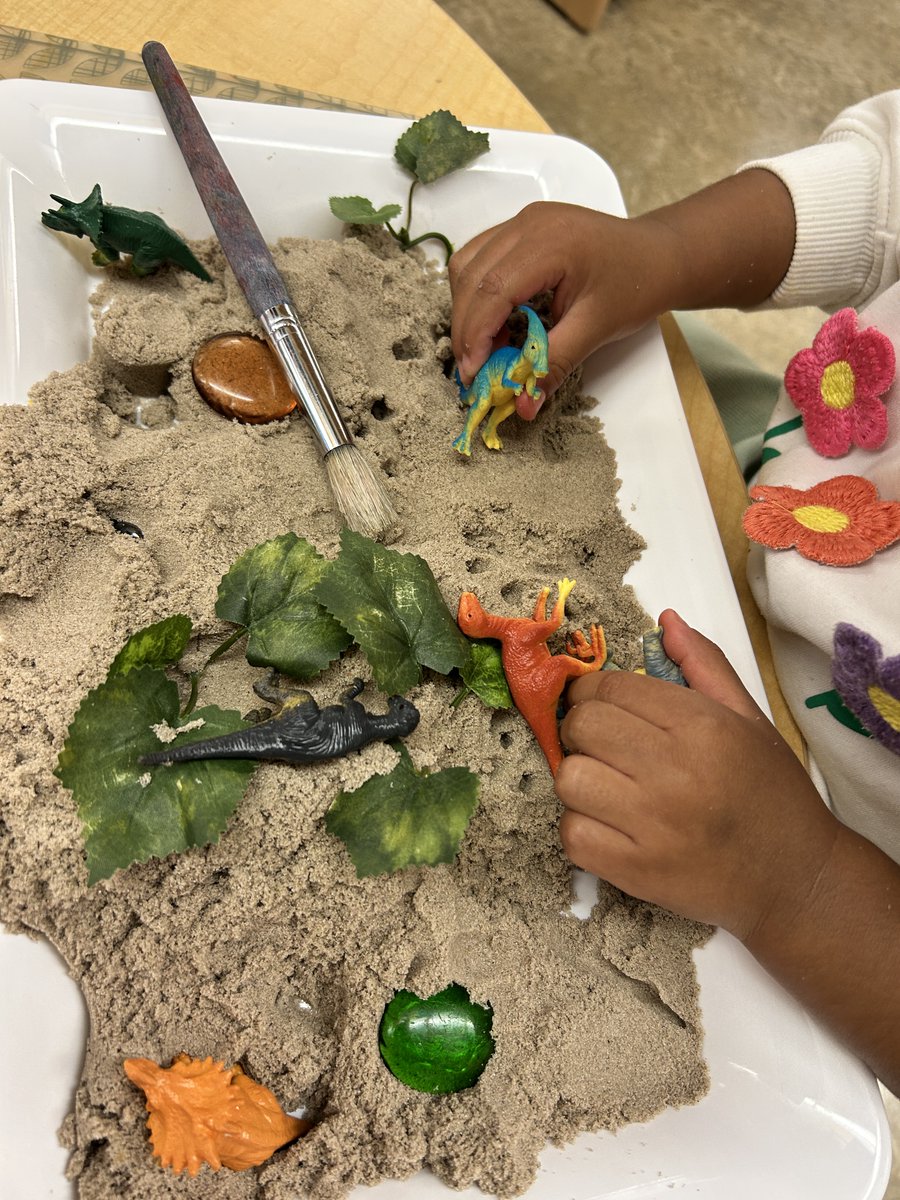 Our Early Learning palaeontologists sifted thought the sand uncovering tiny dinosaurs and hidden treasures. Each discovery was an invitation to open ended questions, vocabulary enrichment, and socialization.   @SD38ELCC