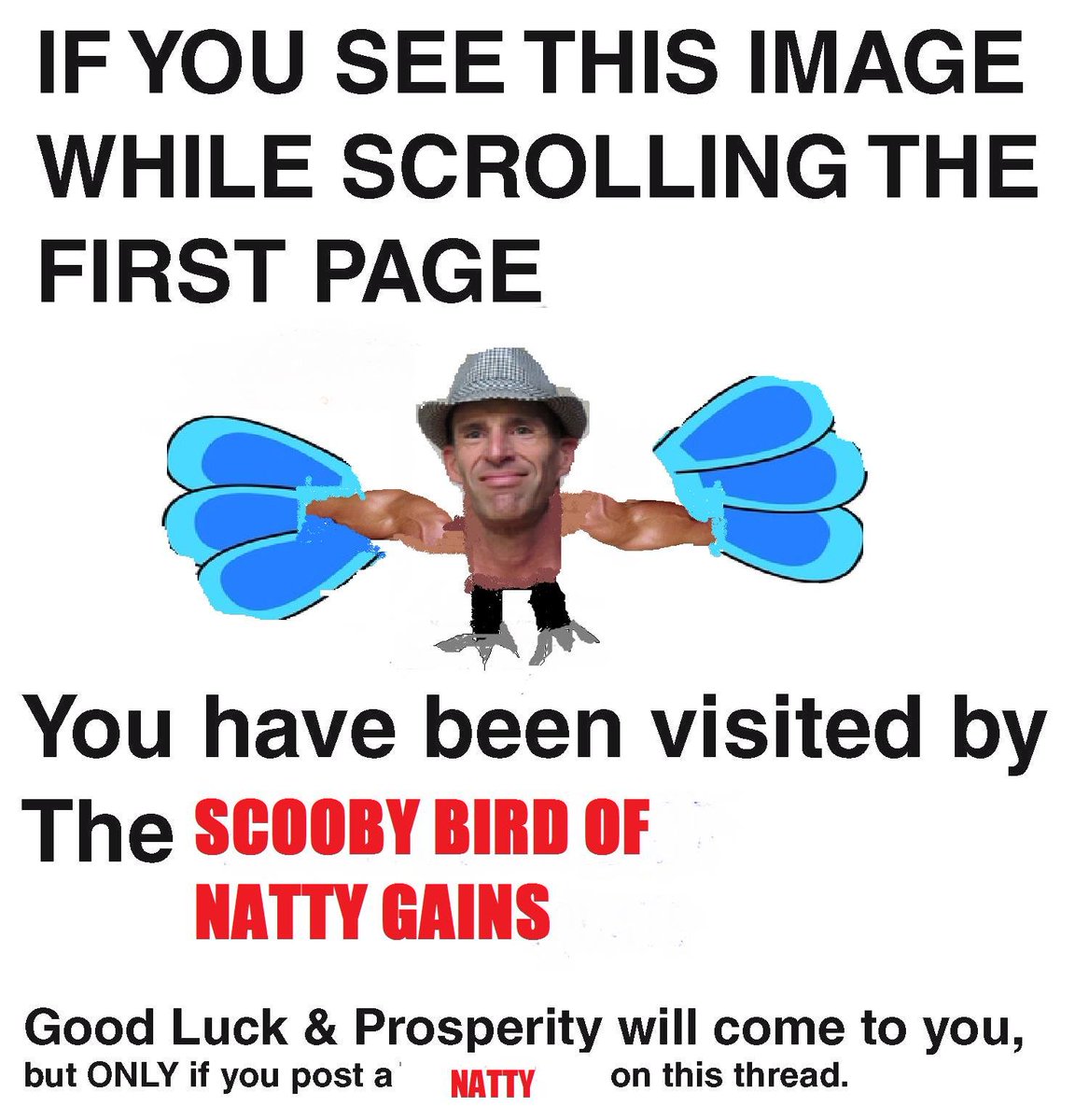 BowTied Biohacker tweet media