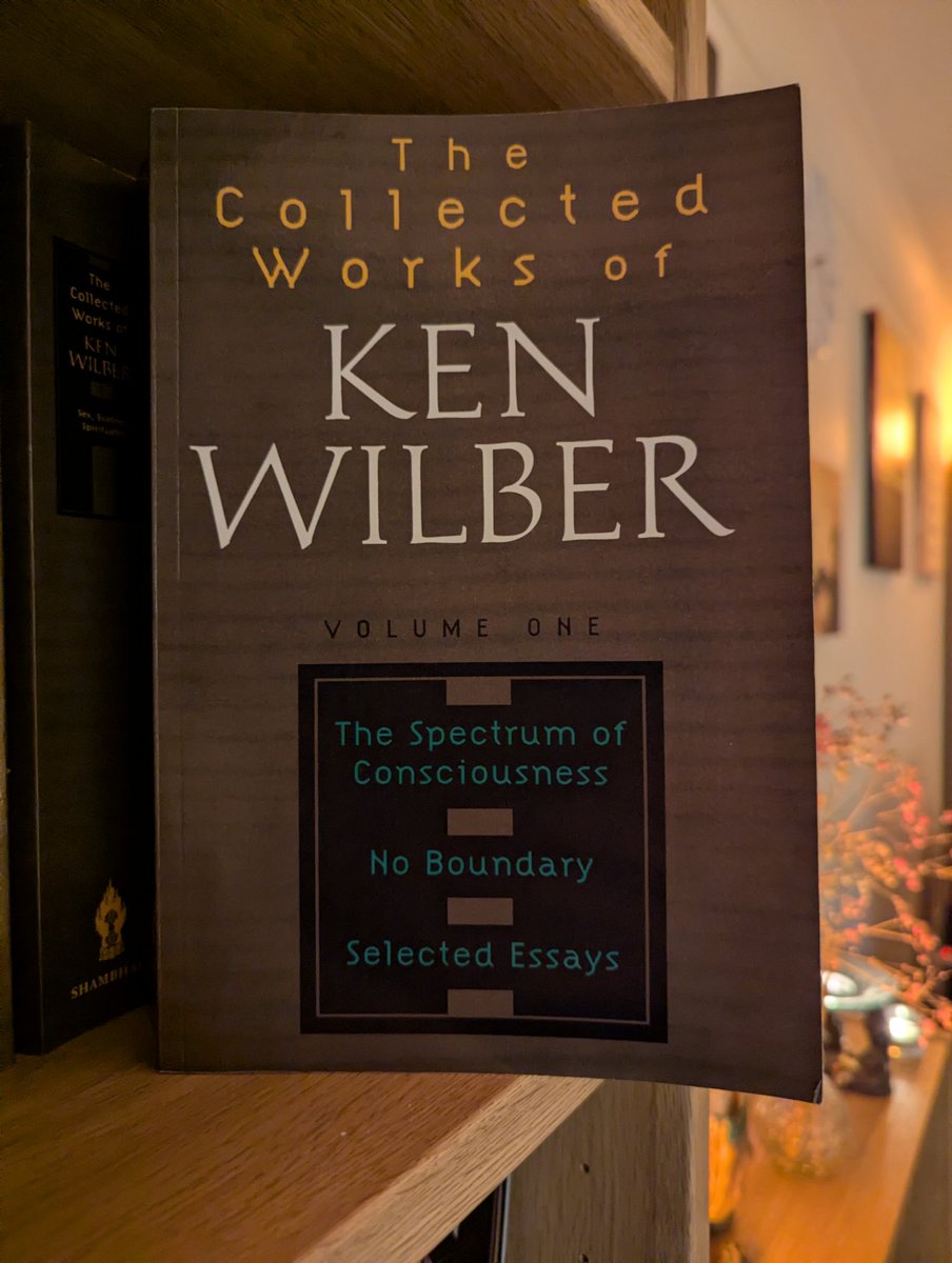 SimonaRuxanda's tweet photo. My brain fell in love with this in my late 20s. More than a decade later, rediscovering the monumental #KenWilber with his first published work, #TheSpectrumOfConsciousness. https://t.co/nsYEzTNhQa