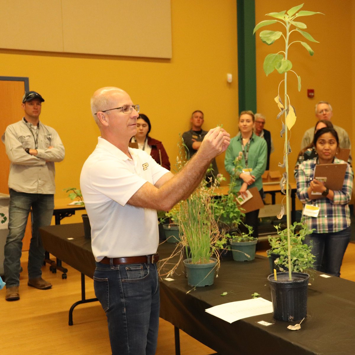 PurdueAgryExt's tweet image. 🌱Congratulations to Dr. Casteel &amp;amp; Dr. Gerber on their recent American Society of Agronomy (ASA) awards Casteel received the Crop Science Extension Education Award &amp;amp; Gerber was awarded 🌽Agronomic Education and Extension in Salt Lake City 🖤Boiler Up 💛
@PurdueAg @PurdueExtension