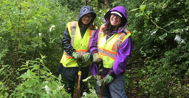 MunicipalWorld's tweet image. ICYMI: Often volunteer-led and deeply passionate, #community park groups are reshaping how municipalities manage and care for their parks. Explore how municipal #parks departments can unlock the full value of growing civic energy. ow.ly/JMKJ50XwSo8 #volunteers #LocalGov