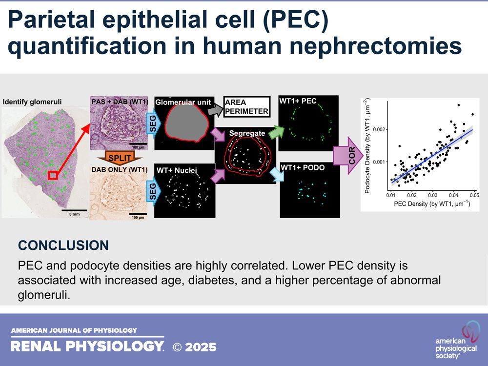 Epithelial Transport Group tweet media