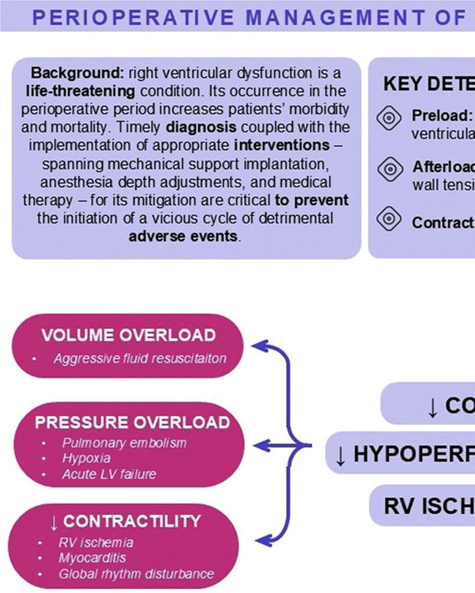 Journal of Cardiothoracic and Vascular Anesthesia tweet media