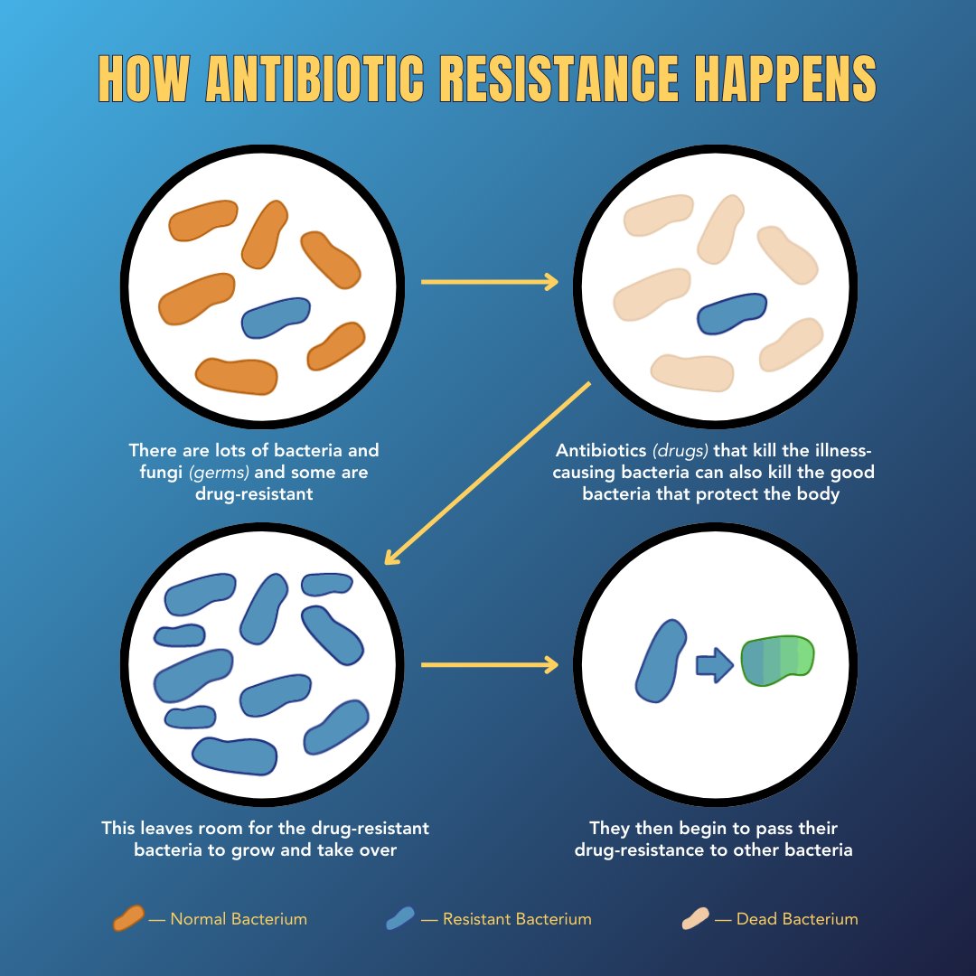microgendx's tweet image. 🦠 Antibiotic resistance = bacteria adapting to survive treatment — and spreading that resistance.

MicroGenDX detects 17 resistance genes + 60K pathogens so providers can target the right bug with the right drug.

🧬 loom.ly/FmnRFhk

#AntibioticResistance #Healthcare