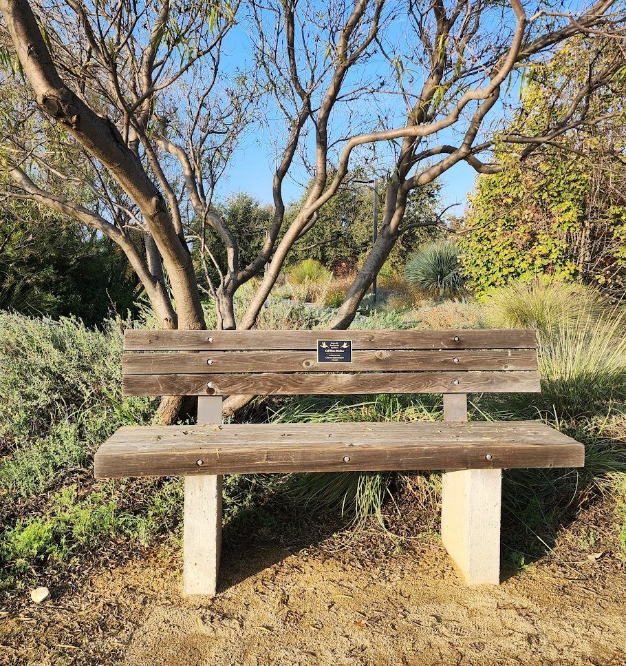 BerkeleyBrett's tweet photo. The park bench in question.... 🙂 https://t.co/5ljspeu5Gy