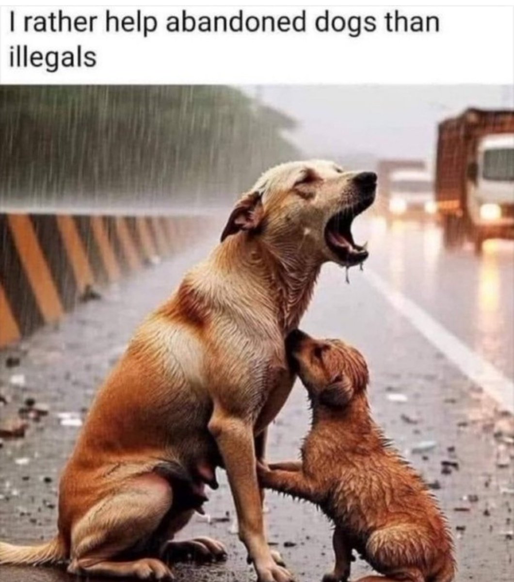 4thOfJuly365's tweet image. Me too.