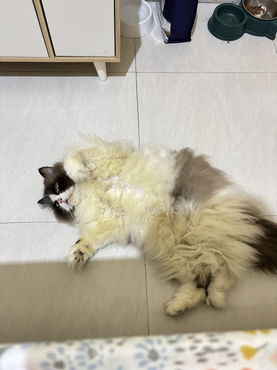 Kira-kira lagi cosplay jadi apa ya dia -mommy shelby