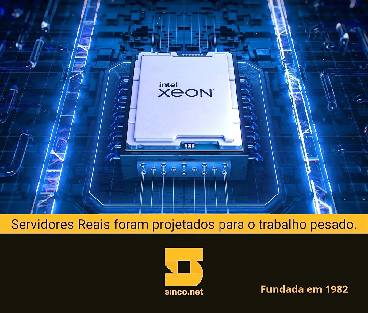 Sinco_Brasil's tweet image. Aqui construímos #Servidores Reais!

Converse com quem está #Desde1982 entregando equipamentos #Intel #Xeon de alta #confiabilidade!
Sinco.net/E6

#Sinco #Tradição #Seagate #Kingston #DataCenter #StorageSolutionProvider #Informatica #SeagateSSP #IamIntel