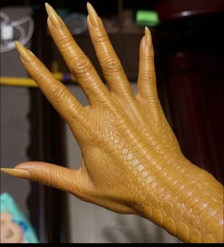 Yo de tanto comer pollo: