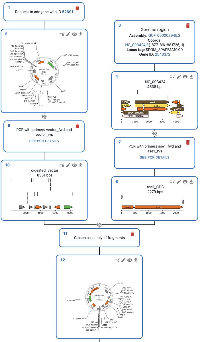 manu_lera's tweet image. #OpenCloning is a an Open Source alternative to SnapGene/Benchling that supports automation and integration with other software

✅ Free
🔓 Open Source
🧬 More cloning methods than SnapGene
🤖 Can be automated with python
👨‍🔬 Built by a researcher — for researchers! 
🔗 Link below