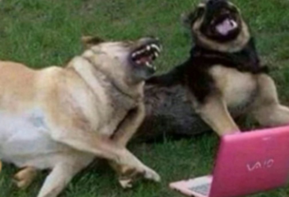 Barstool Kokomo tweet media