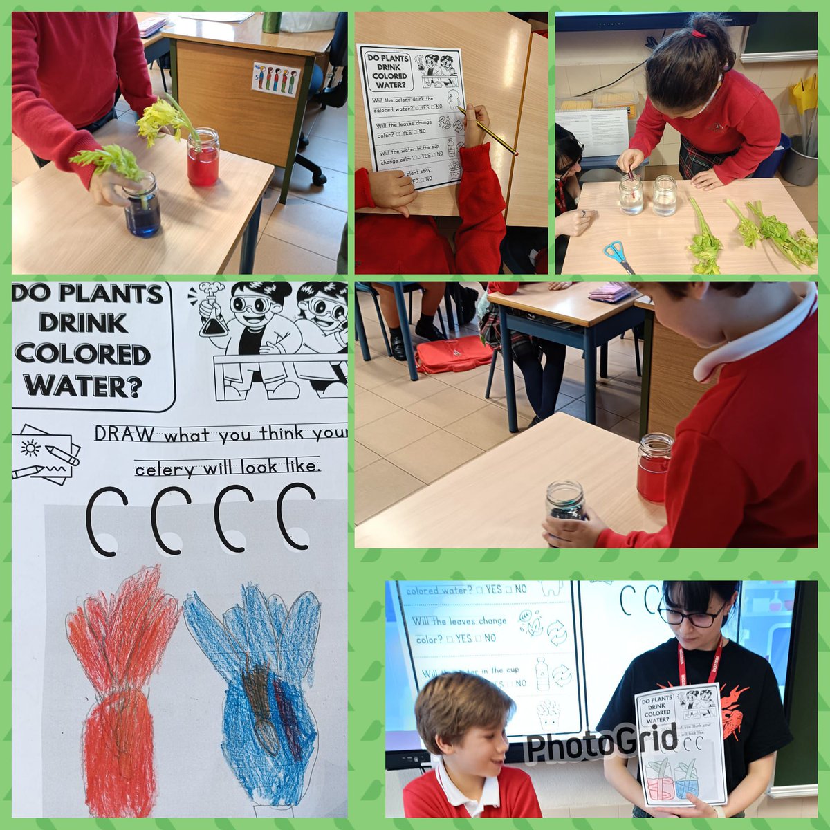 codemagijon's tweet image. Los alumnos de 2°EP #Codema se han puesto sus gafas de científicos 👓🥽🔍 para realizar el experimento sobre el funcionamiento ⁉️ de las plantas 🍃🌱🌿🪴🎋que nuestra profesora de prácticas Carmen 👩🏻‍🏫 nos ha propuesto. Gracias Carmen. ¡Muy chulo! 👏🏻👏🏻👏🏻#scienceisfun #beascientist