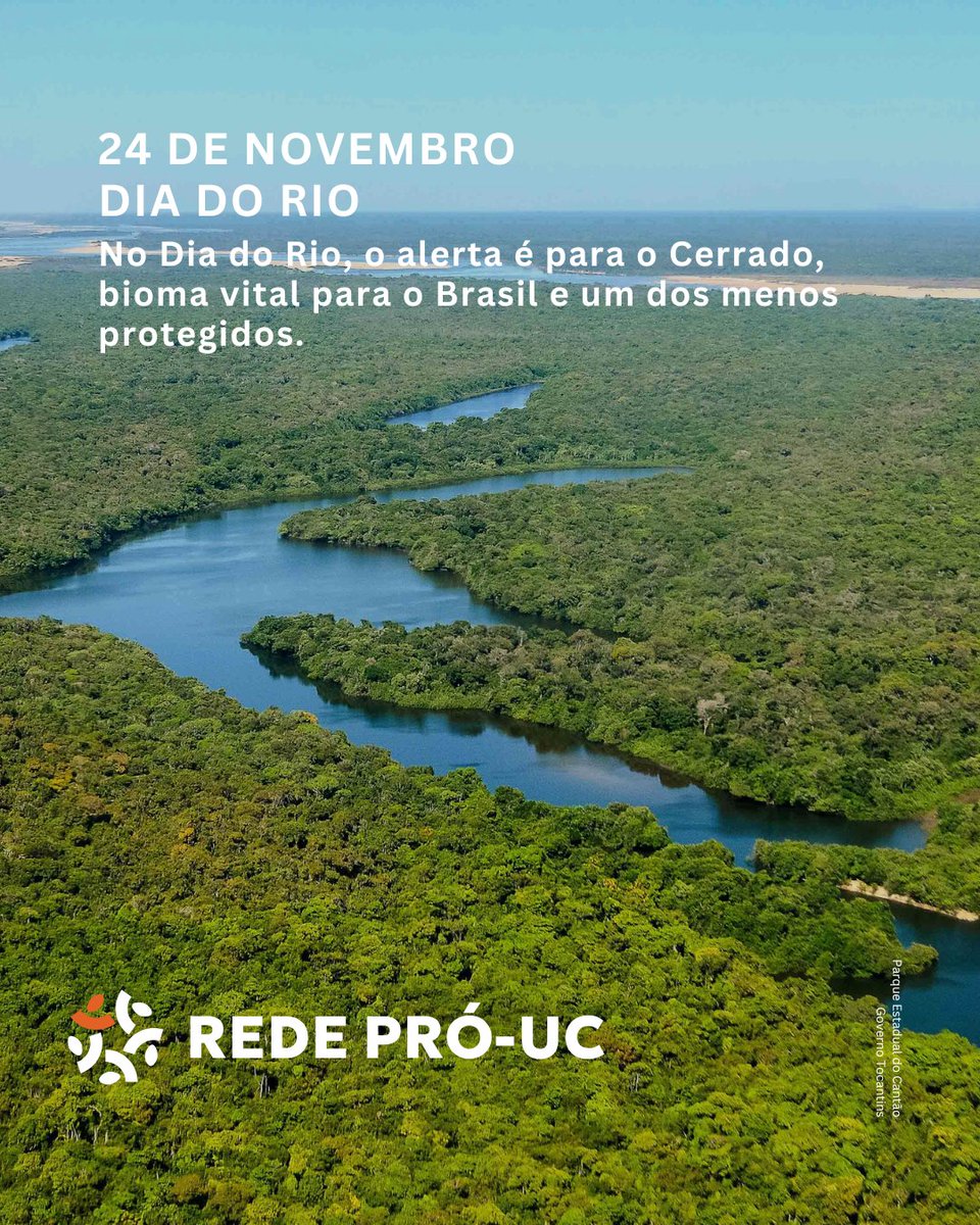 Rede Pró-UC tweet media