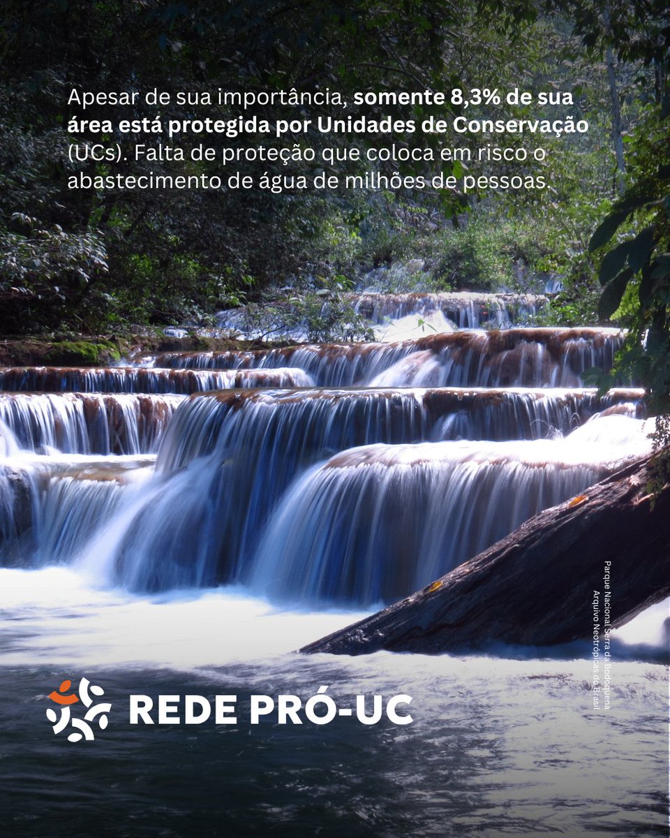 Rede Pró-UC tweet media