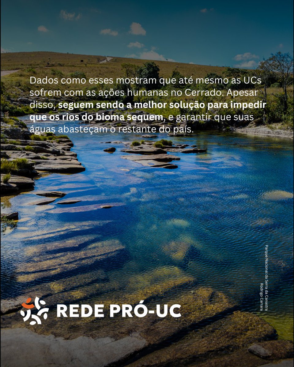 Rede Pró-UC tweet media