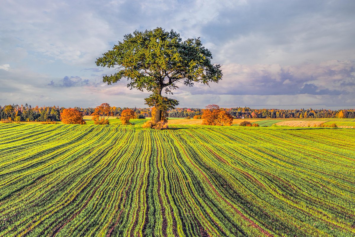 kiser_dean's tweet image. Happy Monday! 🌞☕️
#MondayMotivation #MondayVibes