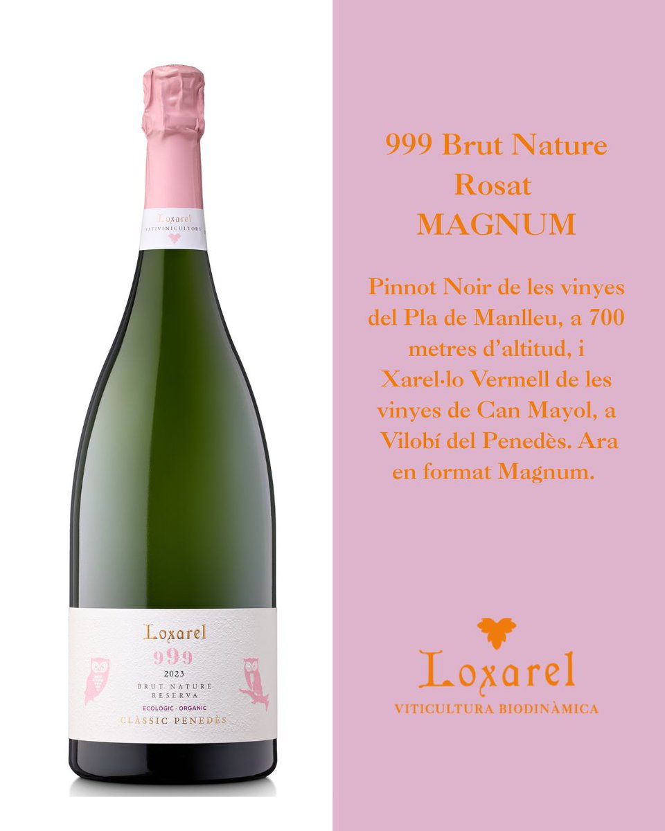 El 999 Brut Nature Rosé, ara en format Magnum d'edició limitada! Venen dies de celebracions 🎄 al voltant de la taula, i el format Magnum és ideal per a aquestes ocasions 💫. Ja la podeu trobar a la botiga online-> loxarel.com/producte/999-b…