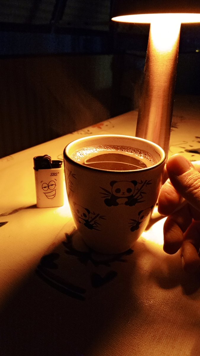 "Kasımın son mısralarındayız,
Günlerden ne bilmiyorum ama 
Ben bugün de seviyorum seni."

#CemalSüreya

Canım kendim ❤