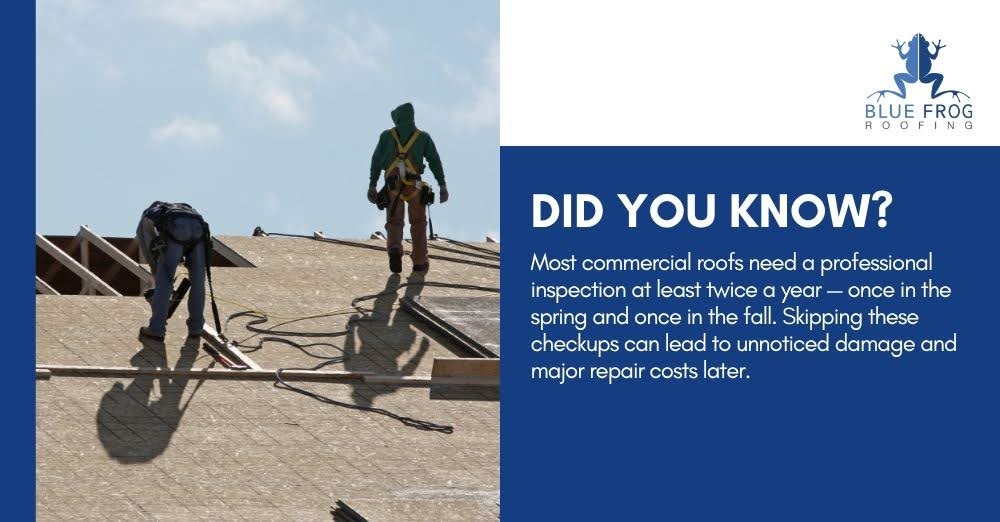BlueFrogRoofing's tweet image. Most commercial roofs need a professional inspection at least twice a year — once in the spring and once in the fall. Skipping these checkups can lead to unnoticed damage and major repair costs later.
#roofinglife #contractor #homeimprovement #roofrepair #rooftop