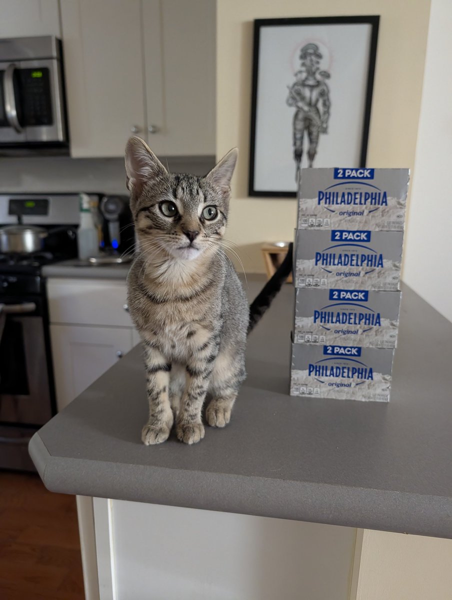 8 cream cheese bricks tall