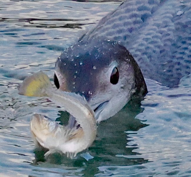 SteveClippo tweet media