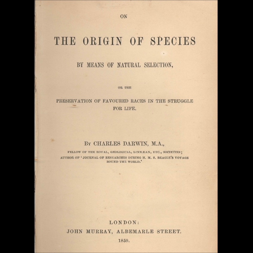 LiamOMaraIV's tweet image. In 1859 on #ThisDayInHistory, #CharlesDarwin published the first edition of #TheOriginOfSpecies. Its foundation was his 1831-1836 trip as #naturalist on #TheBeagle, with much later research to follow. The #NaturalSelection model shown in it remains a cornerstone of #evolution.