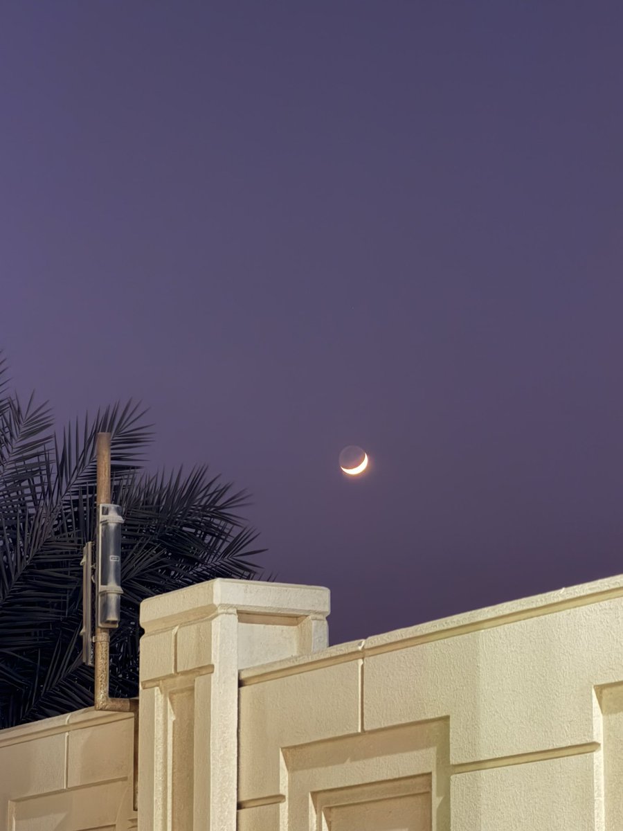 ٢٤ نوفمبر…