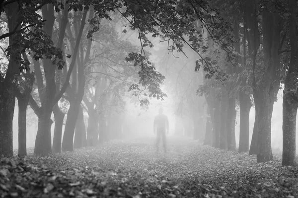 H__Malik's tweet image. &quot;اس دنیا میں موجود ہر رشتے کا اختتام جدائی ہے اور جدائی سے بڑی شاید کوئی تکلیف نہیں&quot;

#н_ωяιтєѕ