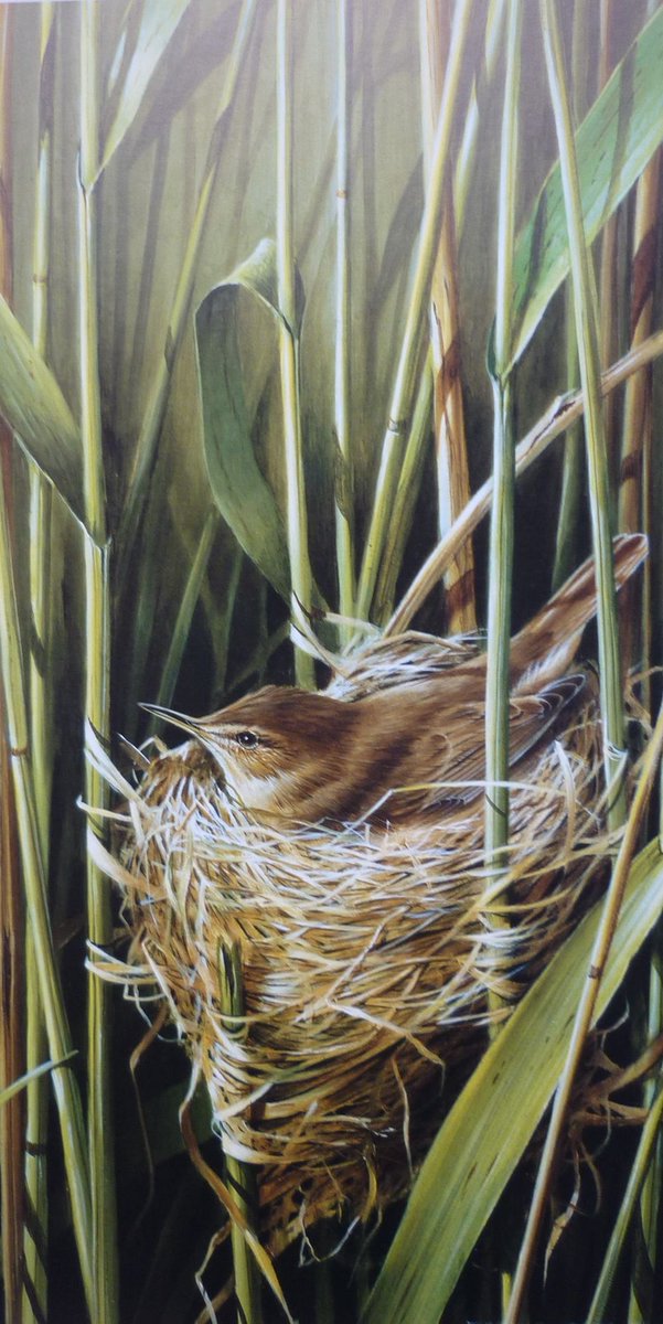 Traumwald

Des Vogels Aug verschleiert sich;
Er sinkt in Schlaf auf seinem Baum*.
Die Welt verwandelt sich im Traum
Und wird so tief und feierlich.

Der Mond, der der stille, steigt empor;
Die kleine Kehle zwitschert matt.
Im ganzen Walde schwingt kein Blatt.
Fern läutet, fern,