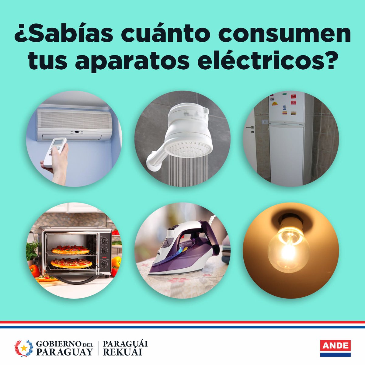 🔌🏠 ¿Sabés cuánto consumen tus electrodomésticos?

En ANDE te ayudamos a conocer mejor el consumo de los aparatos que más utilizas en casa, todos los días.

📊 Deslizá el carrusel y descubrí el promedio de consumo por mes de los electrodomésticos. 

#GobiernoDelParaguay
