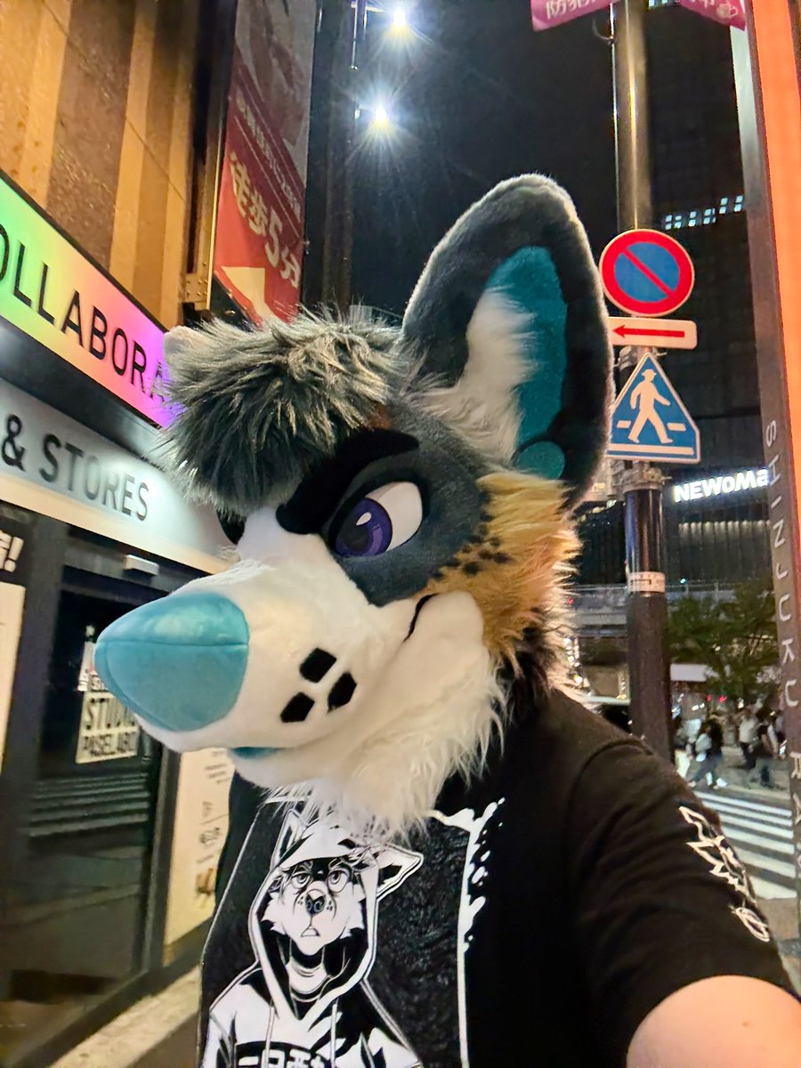 foxeuphoria's tweet image. A night on the town!

#MixedCandyMonday