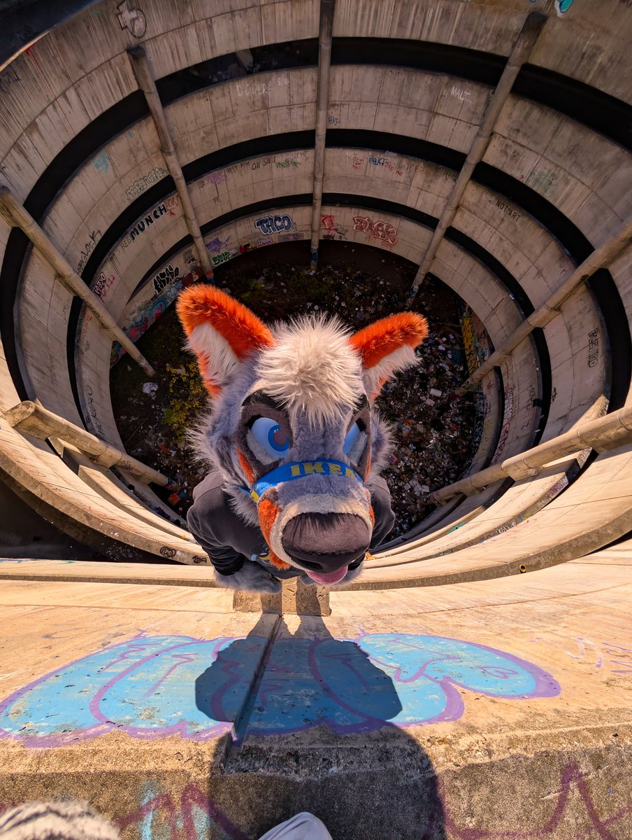 PartDoggo's tweet image. Don&apos;t look down