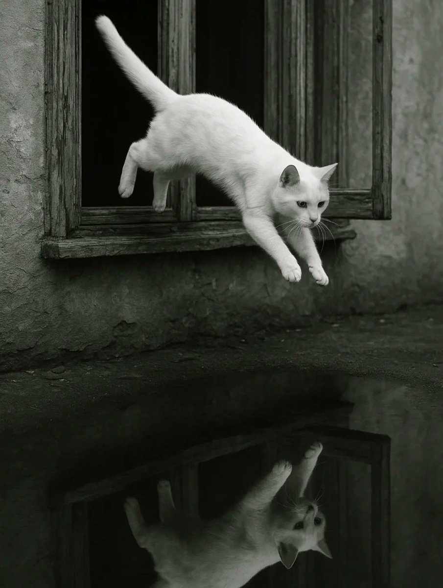 Todo lo que sucedió ya no existe

 🖋️Luc.
📷web