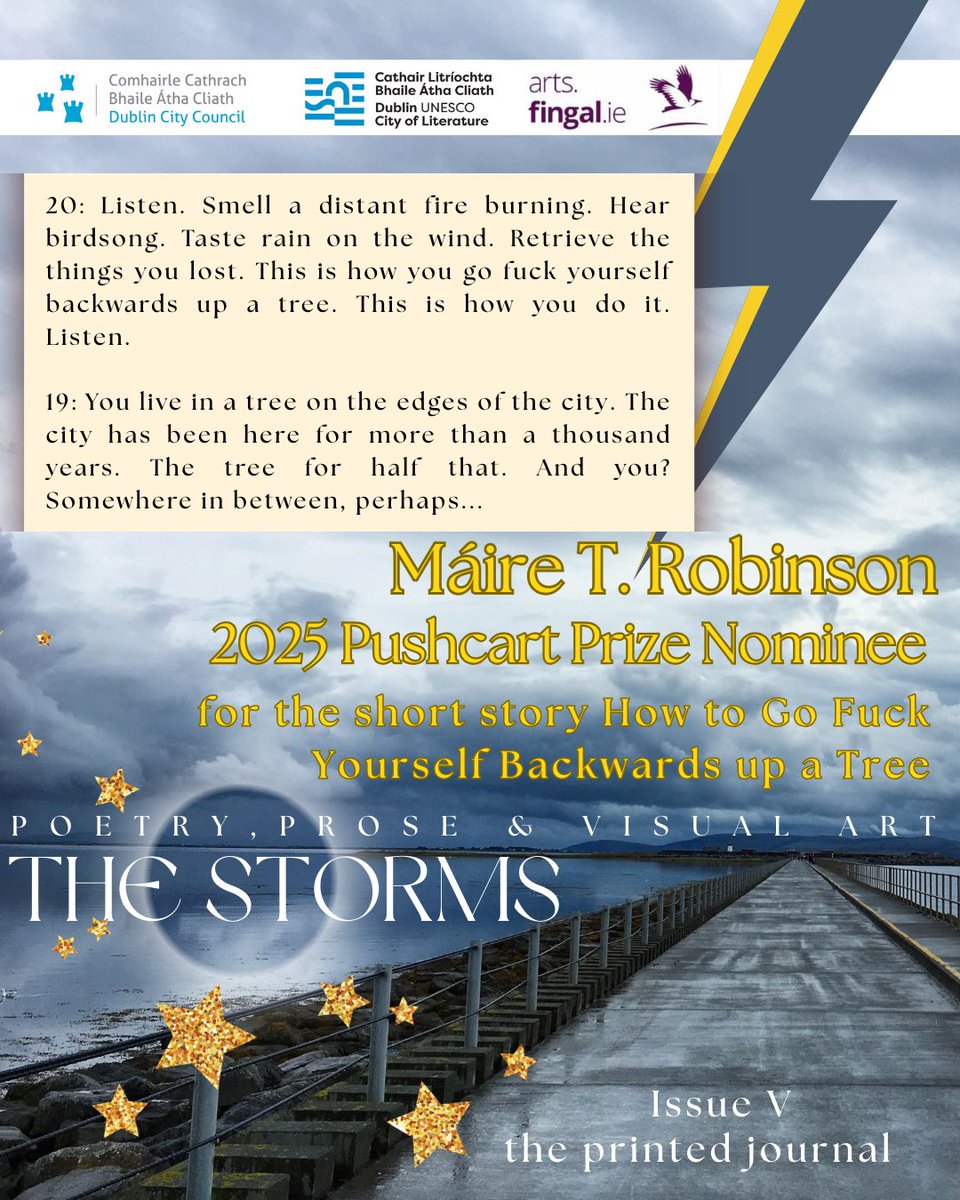TheStormsJournal tweet media