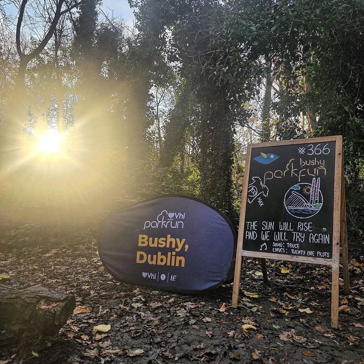 Bushy Dublin parkrun tweet media