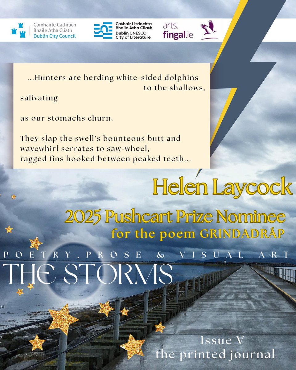 TheStormsJournal tweet media